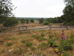 Friezenberg Borkeld